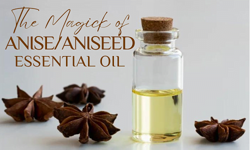 The Magick of Aniseed Essential Oil